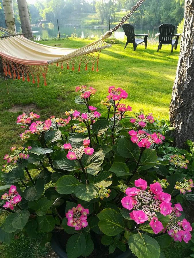 Villa Eden Basecles Екстериор снимка